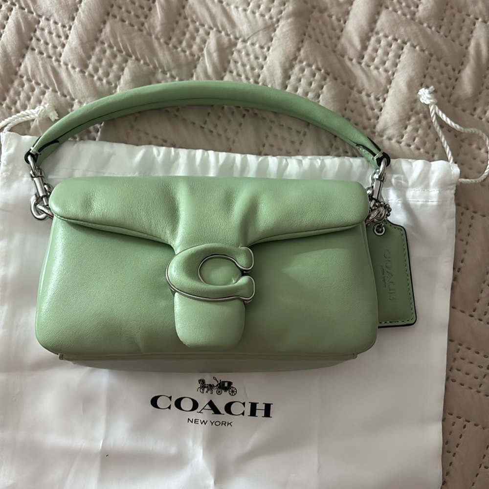 Coach pillow tabby 18